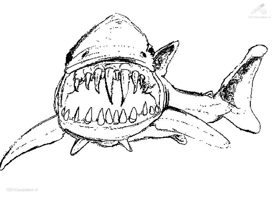 ぬりえページ: 鮫 (動物) #14775 - 無料の印刷可能なぬりえページ