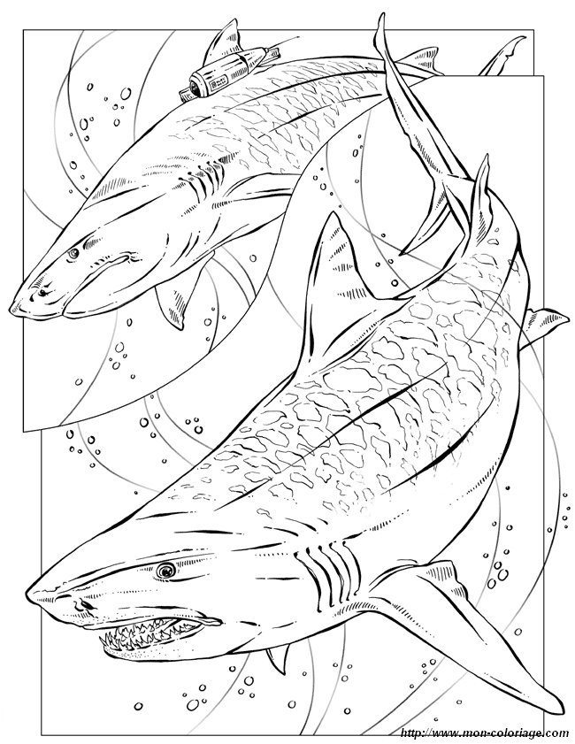 ぬりえページ: 鮫 (動物) #14799 - 無料の印刷可能なぬりえページ