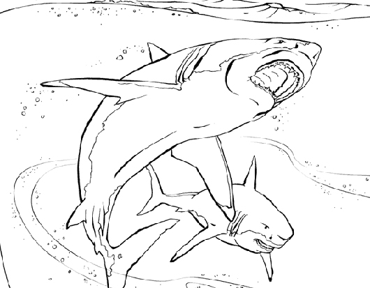ぬりえページ: 鮫 (動物) #14827 - 無料の印刷可能なぬりえページ