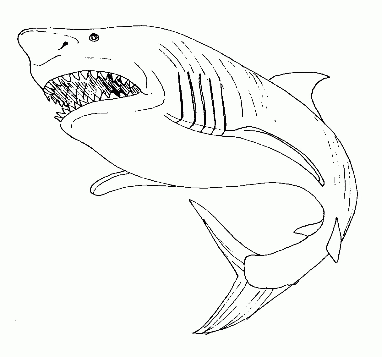 ぬりえページ: 鮫 (動物) #14843 - 無料の印刷可能なぬりえページ