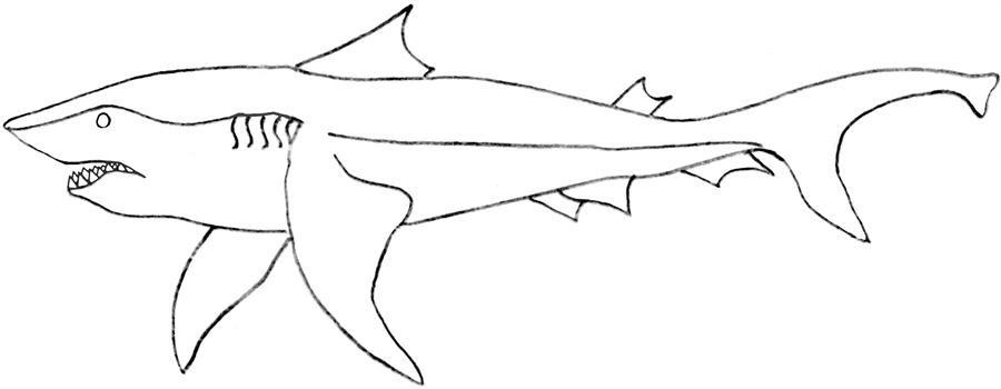 ぬりえページ: 鮫 (動物) #14860 - 無料の印刷可能なぬりえページ