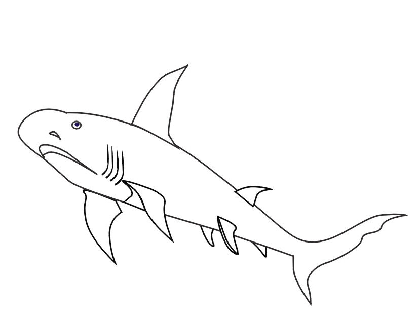 ぬりえページ: 鮫 (動物) #14882 - 無料の印刷可能なぬりえページ