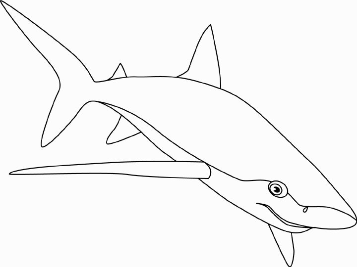 ぬりえページ: 鮫 (動物) #14917 - 無料の印刷可能なぬりえページ
