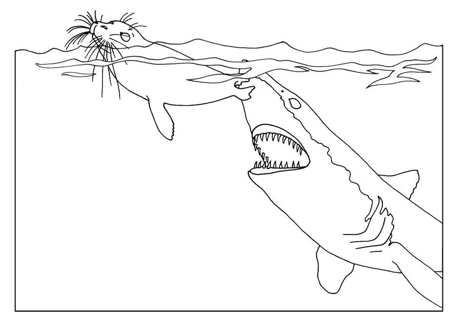 ぬりえページ: 鮫 (動物) #14951 - 無料の印刷可能なぬりえページ
