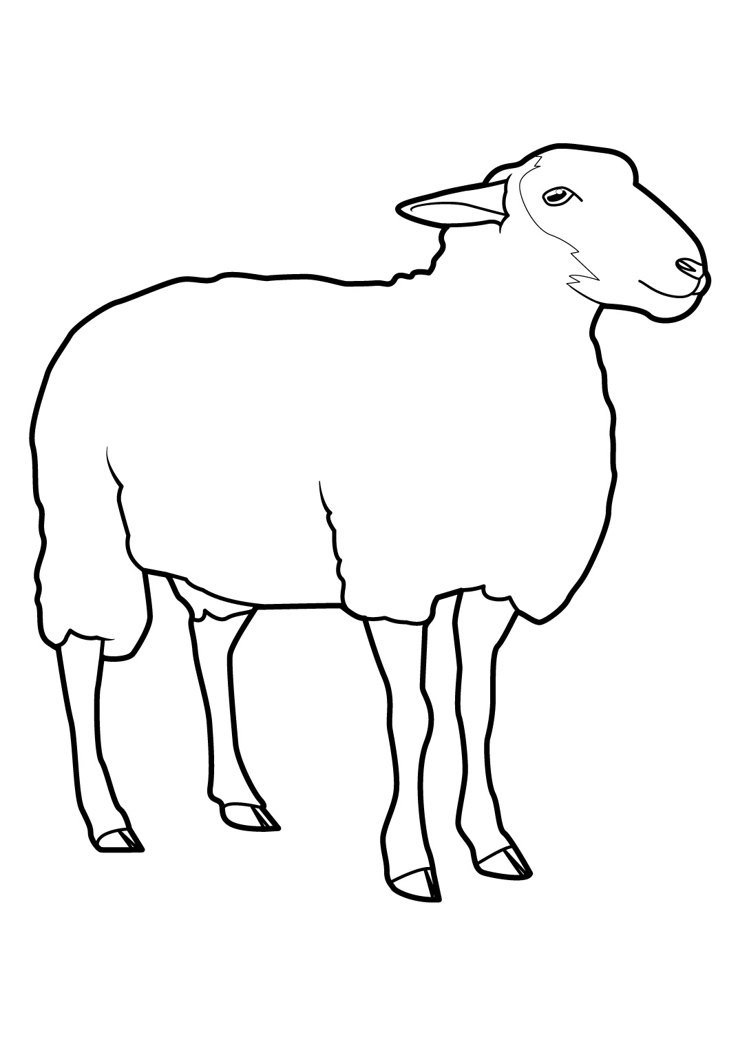 ぬりえページ: 羊 (動物) #11390 - 無料の印刷可能なぬりえページ