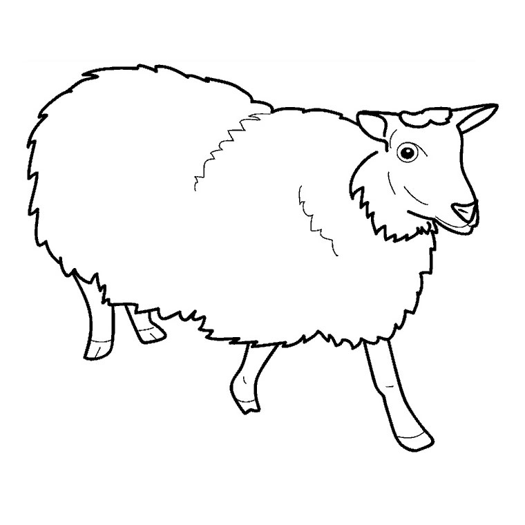 ぬりえページ: 羊 (動物) #11396 - 無料の印刷可能なぬりえページ