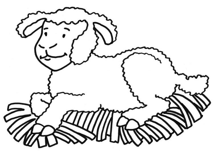 ぬりえページ: 羊 (動物) #11405 - 無料の印刷可能なぬりえページ