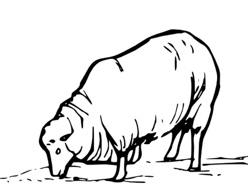 ぬりえページ: 羊 (動物) #11410 - 無料の印刷可能なぬりえページ