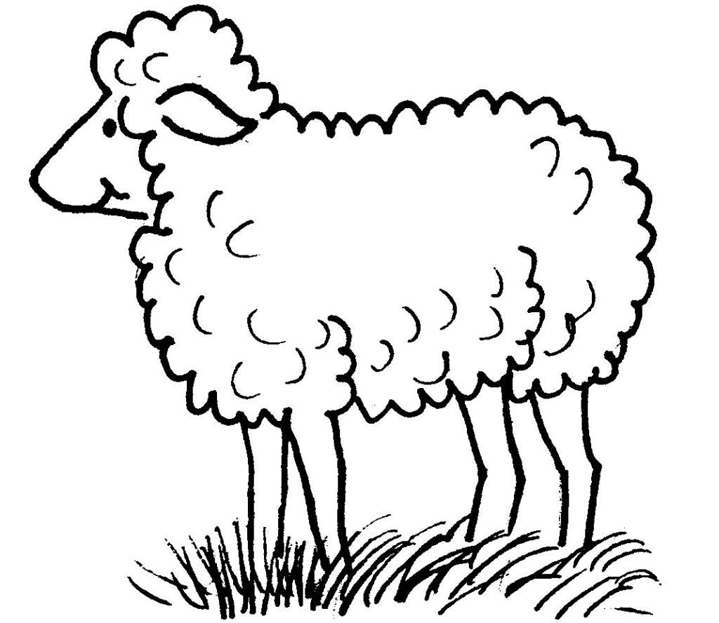 ぬりえページ: 羊 (動物) #11412 - 無料の印刷可能なぬりえページ