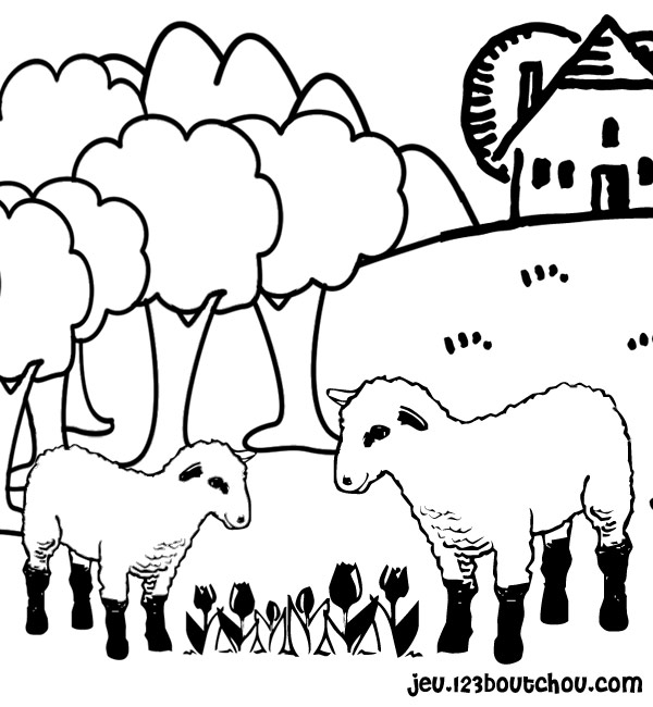 ぬりえページ: 羊 (動物) #11416 - 無料の印刷可能なぬりえページ