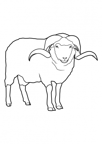 ぬりえページ: 羊 (動物) #11421 - 無料の印刷可能なぬりえページ