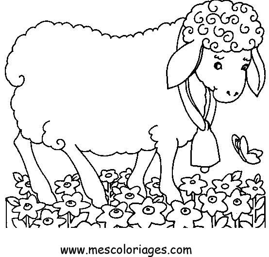 ぬりえページ: 羊 (動物) #11429 - 無料の印刷可能なぬりえページ
