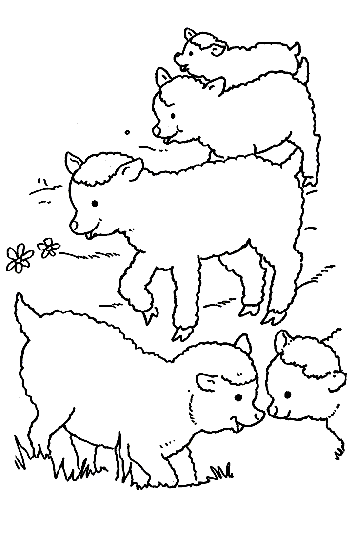 ぬりえページ: 羊 (動物) #11431 - 無料の印刷可能なぬりえページ