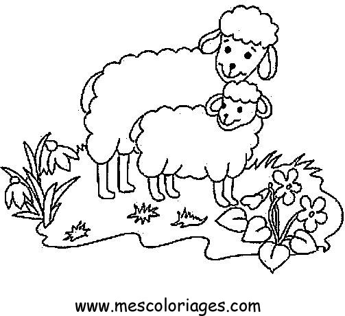 ぬりえページ: 羊 (動物) #11436 - 無料の印刷可能なぬりえページ