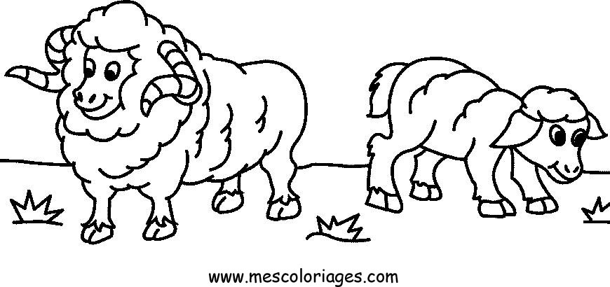 ぬりえページ: 羊 (動物) #11456 - 無料の印刷可能なぬりえページ