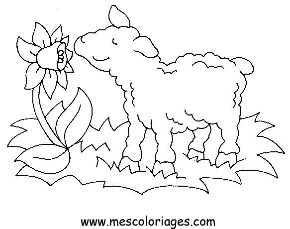 ぬりえページ: 羊 (動物) #11458 - 無料の印刷可能なぬりえページ
