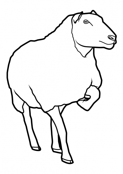ぬりえページ: 羊 (動物) #11460 - 無料の印刷可能なぬりえページ