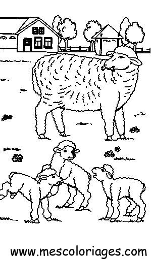 ぬりえページ: 羊 (動物) #11474 - 無料の印刷可能なぬりえページ