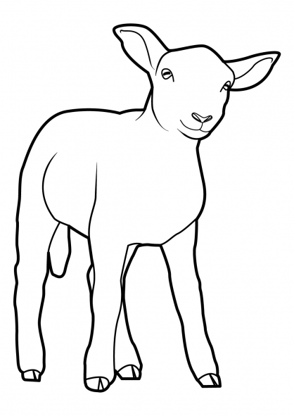 ぬりえページ: 羊 (動物) #11502 - 無料の印刷可能なぬりえページ