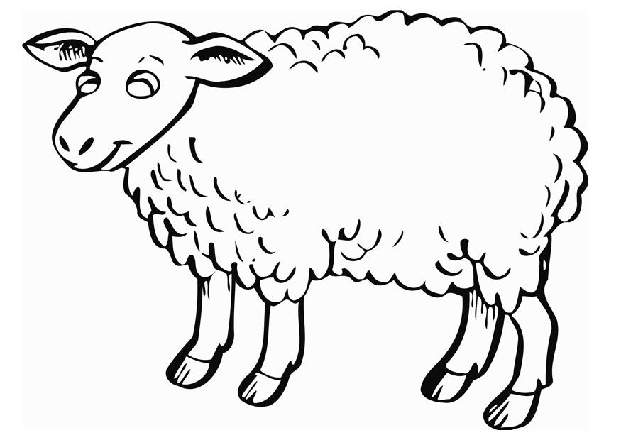 ぬりえページ: 羊 (動物) #11503 - 無料の印刷可能なぬりえページ