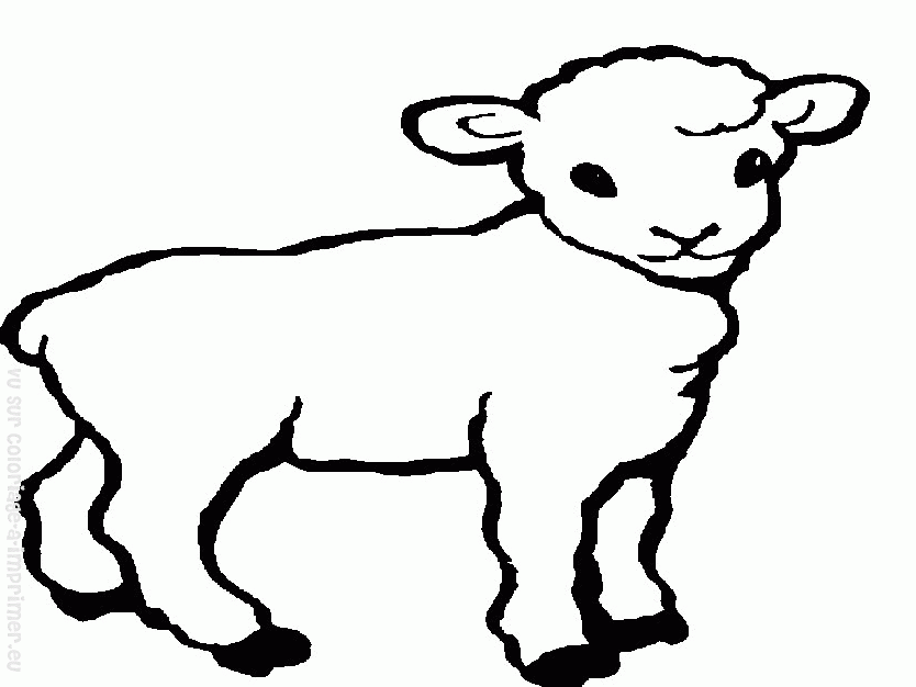 ぬりえページ: 羊 (動物) #11505 - 無料の印刷可能なぬりえページ