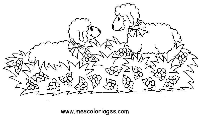 ぬりえページ: 羊 (動物) #11516 - 無料の印刷可能なぬりえページ
