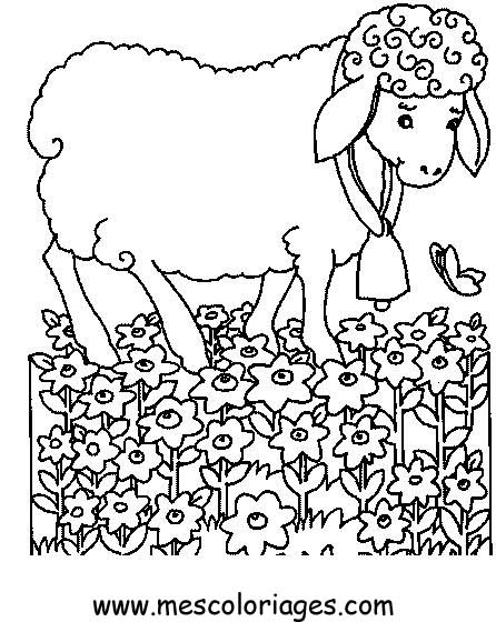 ぬりえページ: 羊 (動物) #11533 - 無料の印刷可能なぬりえページ