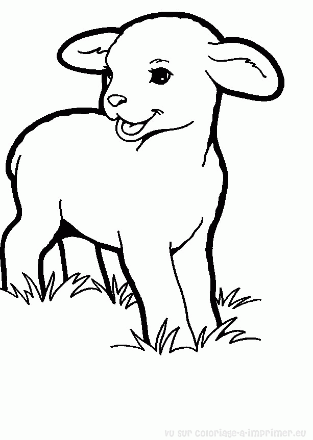 ぬりえページ: 羊 (動物) #11548 - 無料の印刷可能なぬりえページ