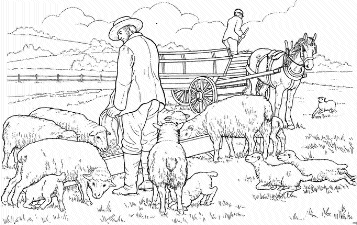 ぬりえページ: 羊 (動物) #11586 - 無料の印刷可能なぬりえページ