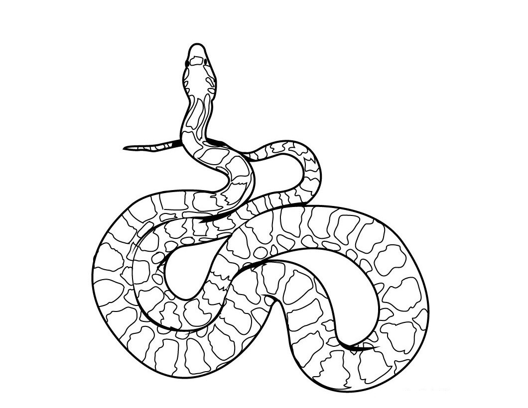 ぬりえページ: 蛇 (動物) #14337 - 無料の印刷可能なぬりえページ