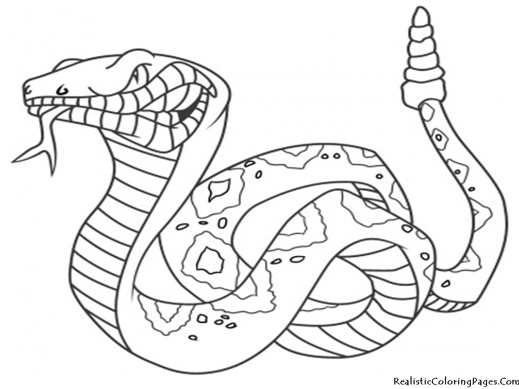 ぬりえページ: 蛇 (動物) #14342 - 無料の印刷可能なぬりえページ