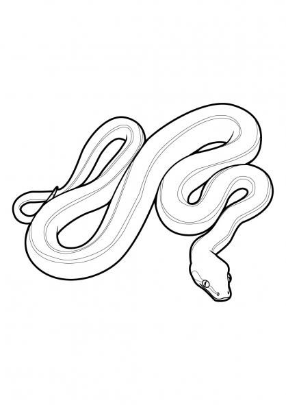 ぬりえページ: 蛇 (動物) #14358 - 無料の印刷可能なぬりえページ
