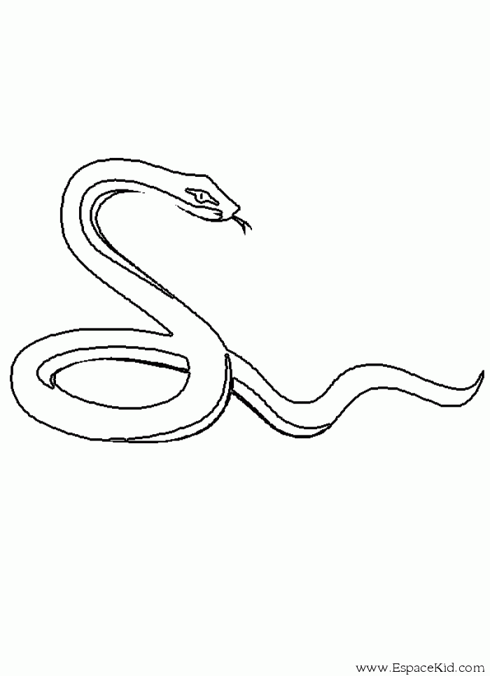 ぬりえページ: 蛇 (動物) #14365 - 無料の印刷可能なぬりえページ