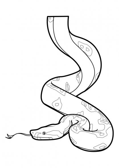 ぬりえページ: 蛇 (動物) #14382 - 無料の印刷可能なぬりえページ