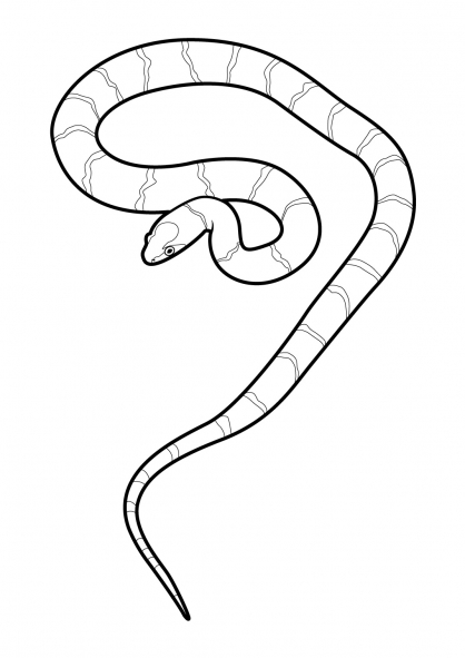 ぬりえページ: 蛇 (動物) #14410 - 無料の印刷可能なぬりえページ