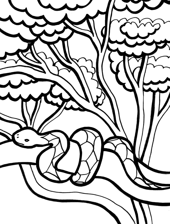 ぬりえページ: 蛇 (動物) #14453 - 無料の印刷可能なぬりえページ