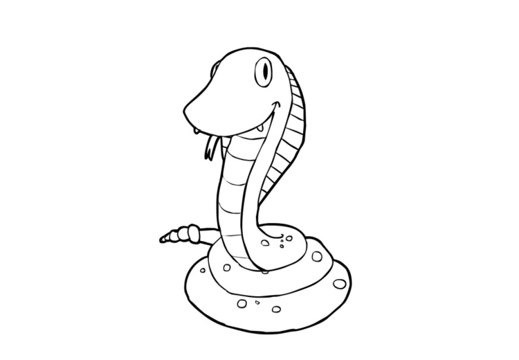 ぬりえページ: 蛇 (動物) #14460 - 無料の印刷可能なぬりえページ