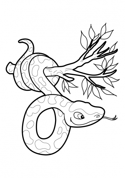 ぬりえページ: 蛇 (動物) #14486 - 無料の印刷可能なぬりえページ
