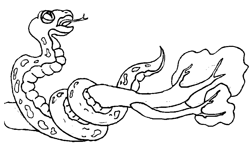 ぬりえページ: 蛇 (動物) #14502 - 無料の印刷可能なぬりえページ