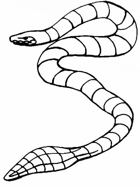 ぬりえページ: 蛇 (動物) #14512 - 無料の印刷可能なぬりえページ