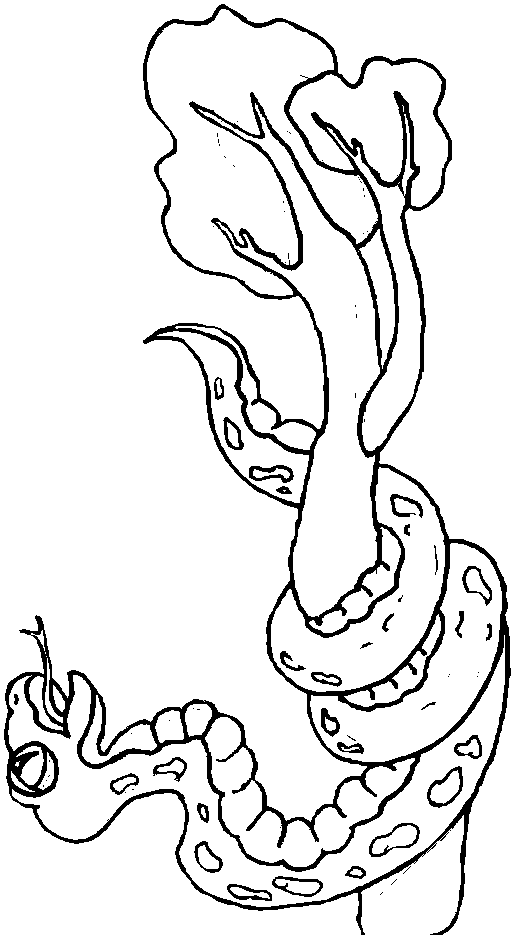 ぬりえページ: 蛇 (動物) #14525 - 無料の印刷可能なぬりえページ