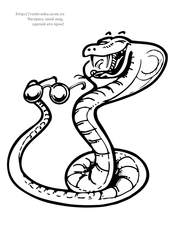 ぬりえページ: 蛇 (動物) #14536 - 無料の印刷可能なぬりえページ