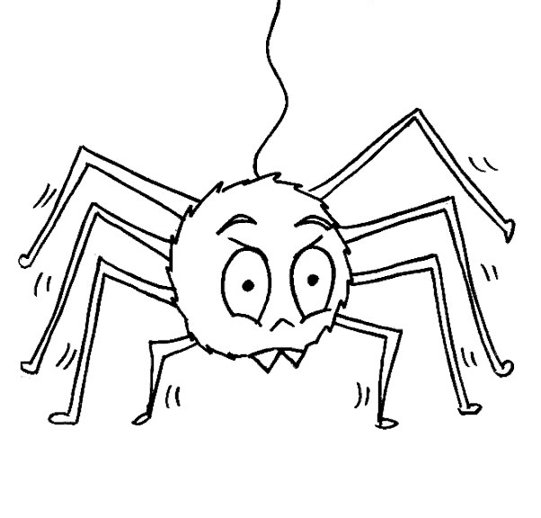 ぬりえページ: クモ (動物) #585 - 無料の印刷可能なぬりえページ