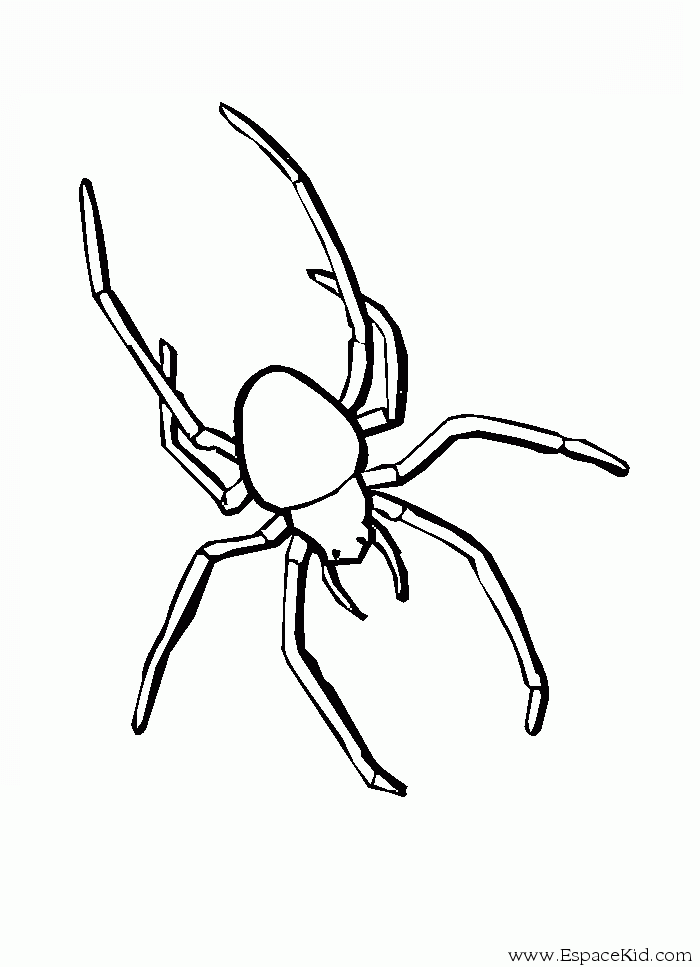 ぬりえページ: クモ (動物) #587 - 無料の印刷可能なぬりえページ