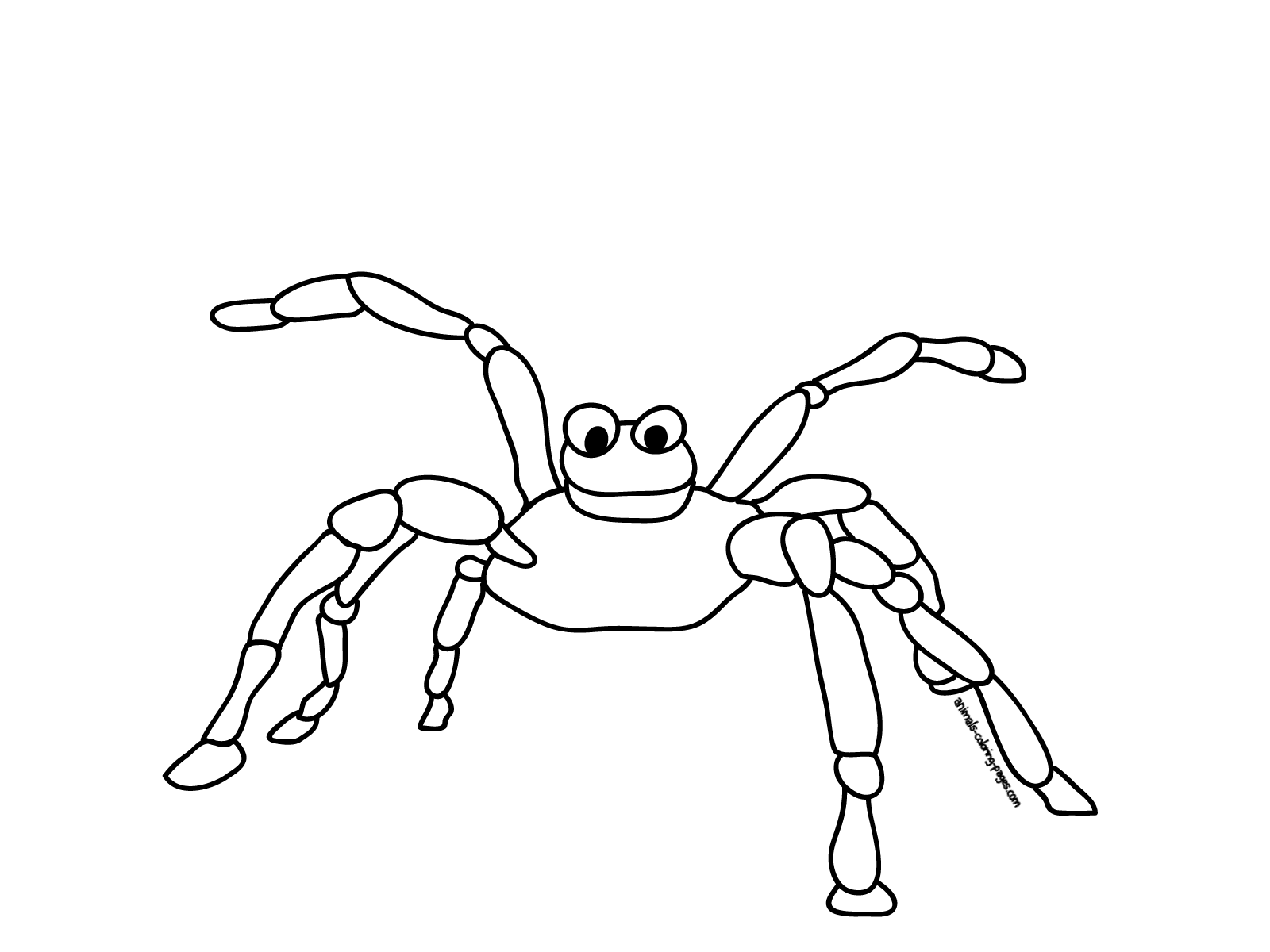 ぬりえページ: クモ (動物) #611 - 無料の印刷可能なぬりえページ