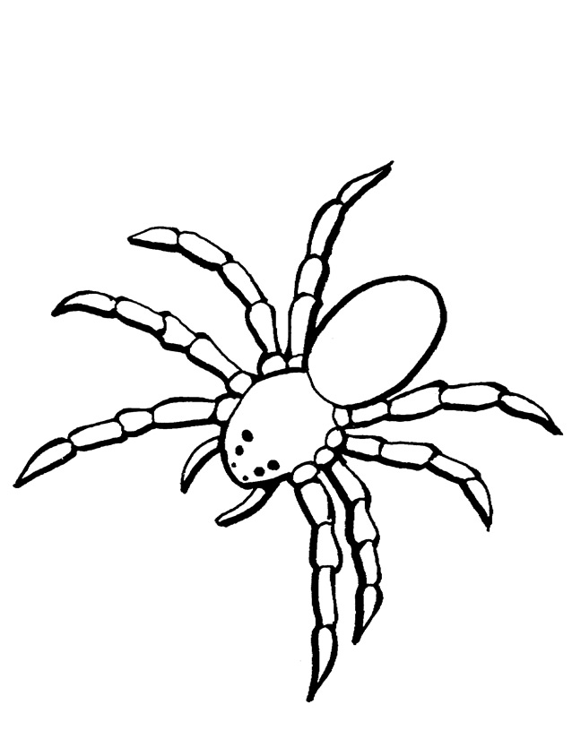 ぬりえページ: クモ (動物) #621 - 無料の印刷可能なぬりえページ