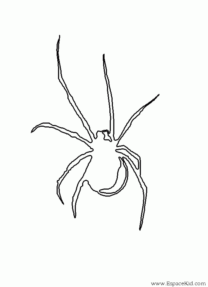 ぬりえページ: クモ (動物) #649 - 無料の印刷可能なぬりえページ