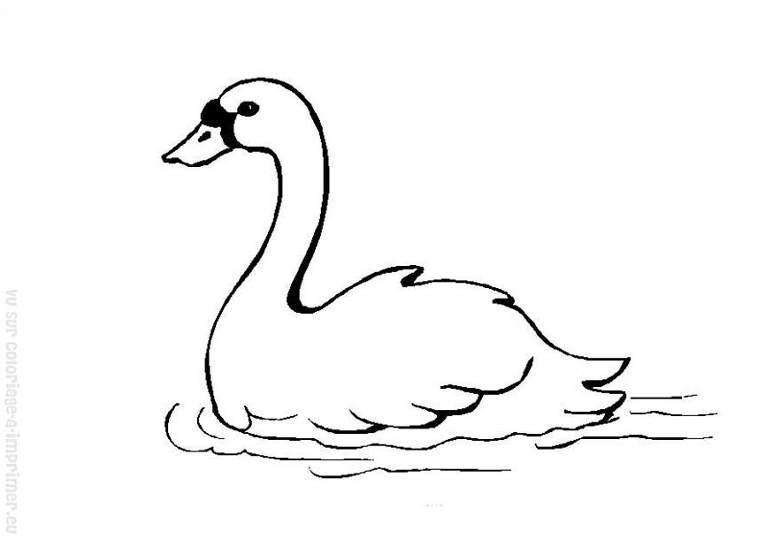 ぬりえページ: 白鳥 (動物) #4995 - 無料の印刷可能なぬりえページ
