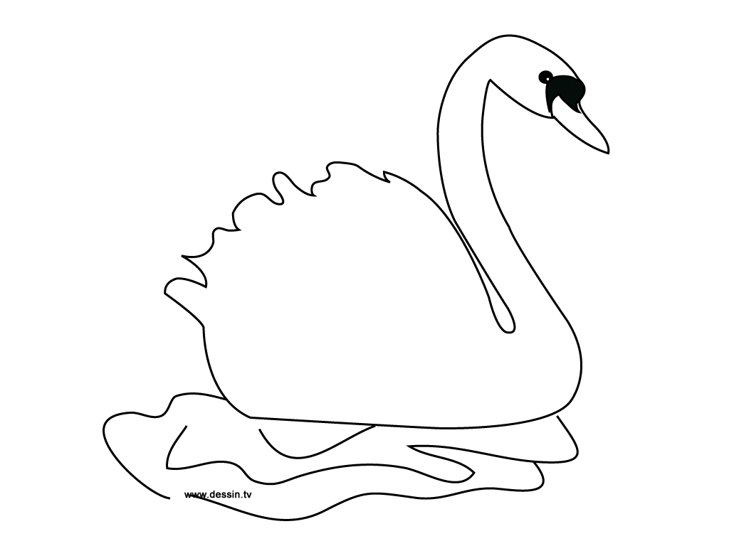 ぬりえページ: 白鳥 (動物) #4996 - 無料の印刷可能なぬりえページ