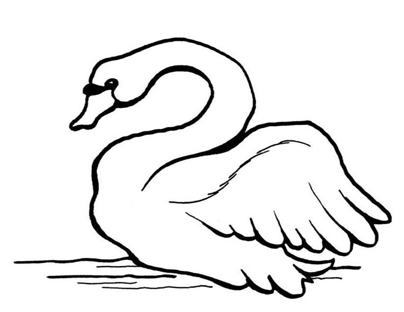 ぬりえページ: 白鳥 (動物) #5002 - 無料の印刷可能なぬりえページ